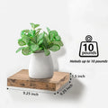 Wall-Mounted Floating Shelf