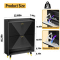 Black Shoe Storage Cabinet with Dual Flip Drawers - Entryway Shoe Rack