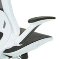 Riley Ergonomic Office Chair with White Mesh Seat and Backrest