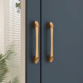Space-Saving Scalable Hanging Rod Wardrobe Closet with Mirror