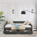 Upholstered Tufted Queen Size Daybed Sofa Bed with Storage Drawers