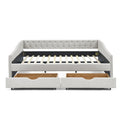 Upholstered Tufted Queen Size Daybed Sofa Bed with Storage Drawers
