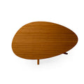 Amber Rosemary Coffee Table