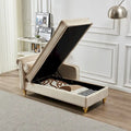 Contemporary Velvet Chaise Lounge Chair with Storage